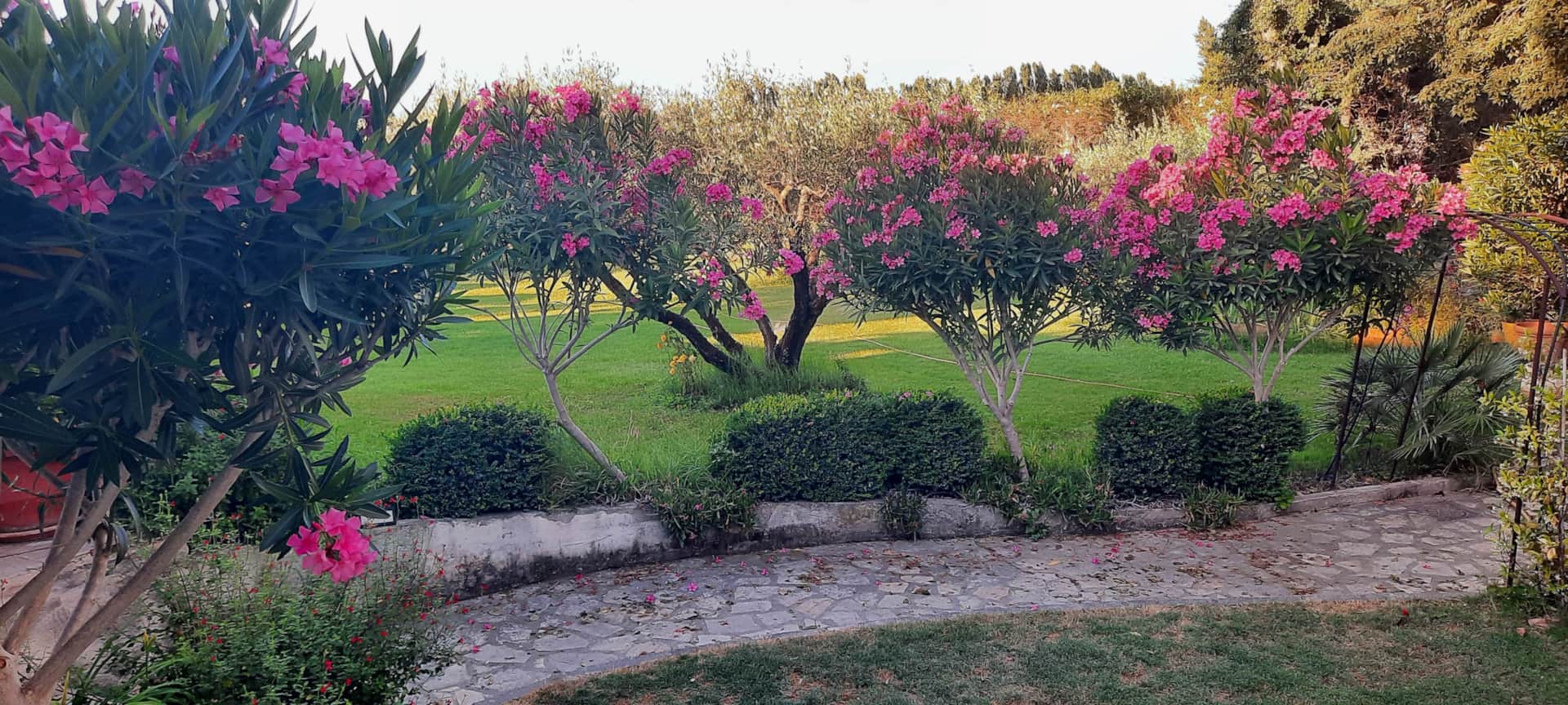 Villa l'Estel piscine 3