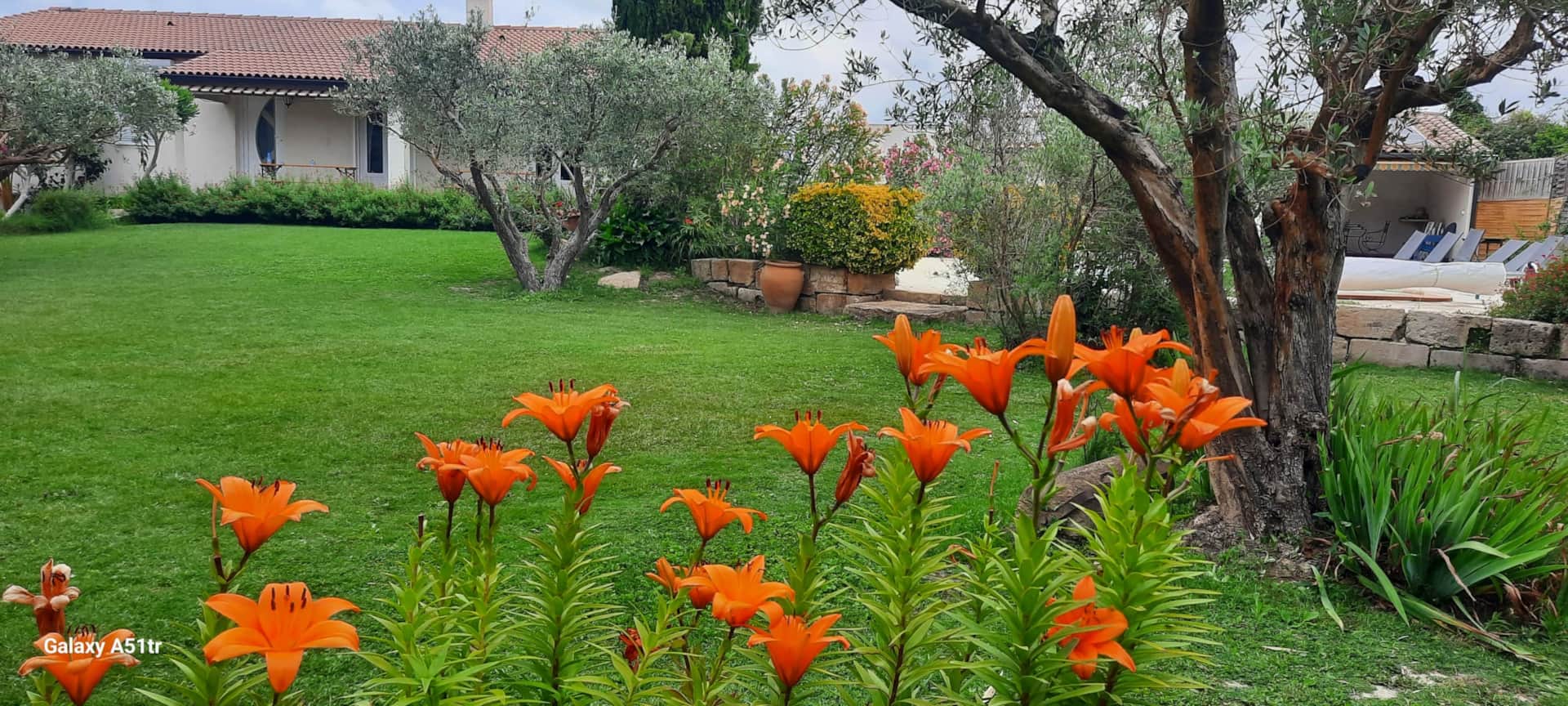 Villa l'Estel piscine 4