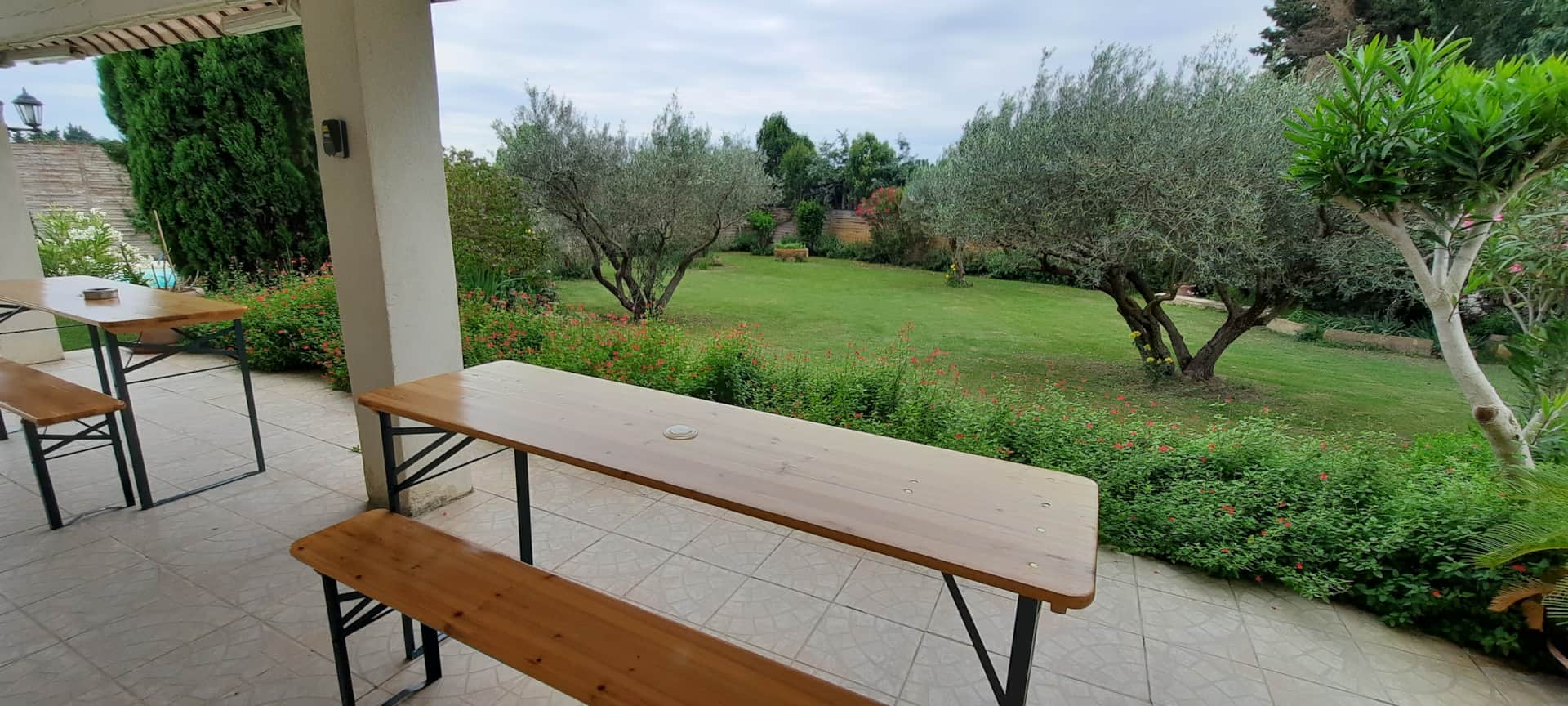 77eaab1e-6c31-414f-9234-a81b718959ce