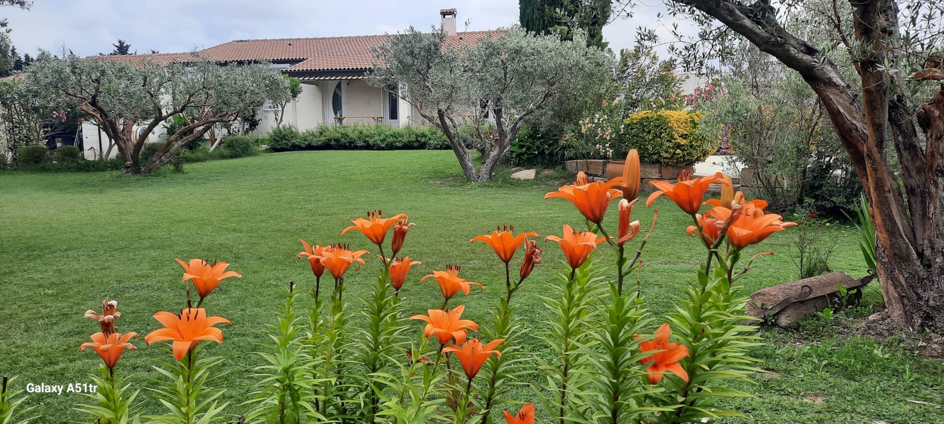 b91eedc9-b4b9-4fdc-9a6a-da483088ce2d